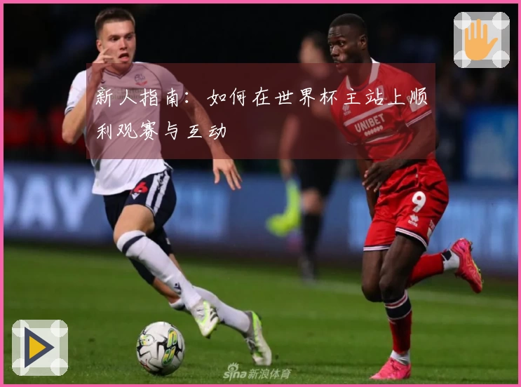 新人指南：如何在世界杯主站上顺利观赛与互动