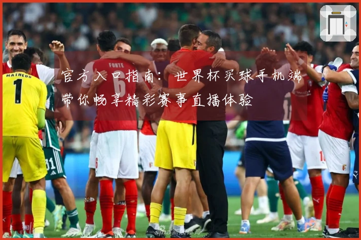 官方入口指南：世界杯买球手机端带你畅享精彩赛事直播体验