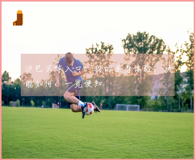 沙巴买球入口：我的亲身体验，功能如何，一览便知