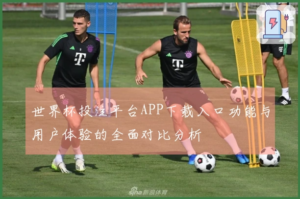世界杯投注平台APP下载入口功能与用户体验的全面对比分析