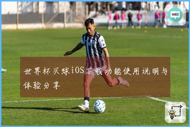 世界杯买球iOS下载功能使用说明与体验分享