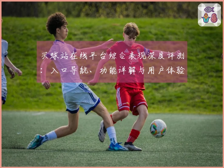 买球站在线平台综合表现深度评测：入口导航、功能详解与用户体验全方位解析