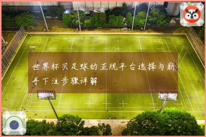 世界杯买足球的正规平台选择与新手下注步骤详解