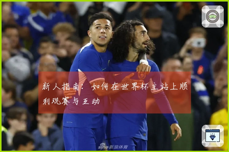 新人指南：如何在世界杯主站上顺利观赛与互动