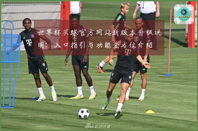 世界杯买球官方网站新版本升级说明：入口指引与功能全方位介绍