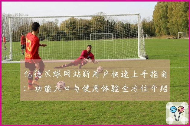 亿德买球网站新用户快速上手指南：功能入口与使用体验全方位介绍